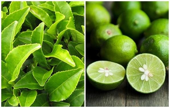 Cách giảm mỡ bụng bằng chanh và lá trà xanh