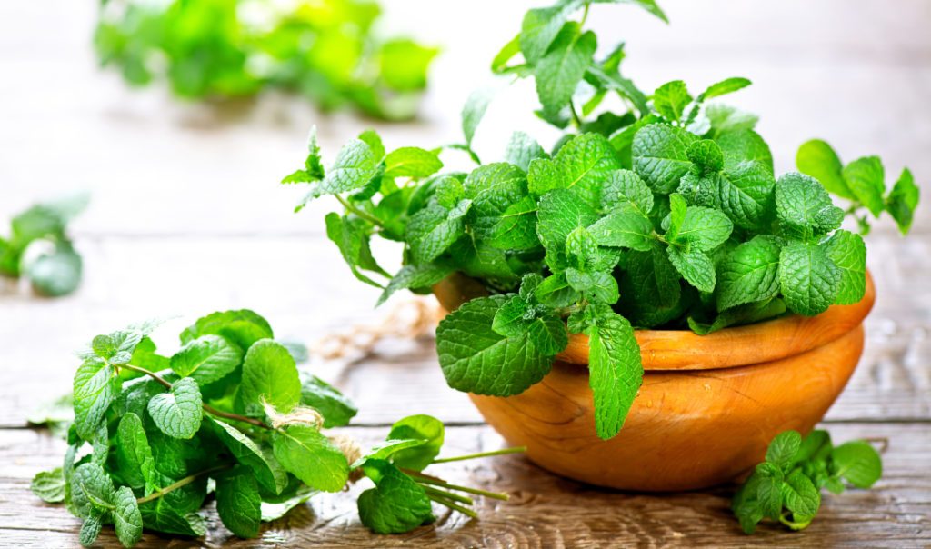 Làm đẹp da bằng là bạc hà đơn giản tại nhà - Nouvo Spa